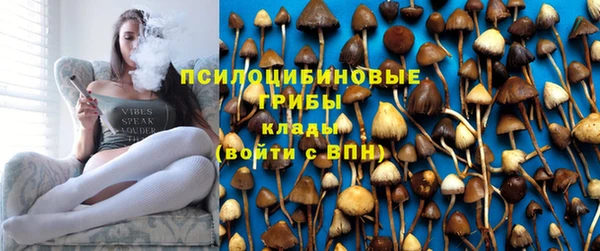 гидра Абинск