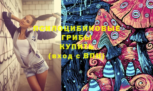 твердый Приозерск