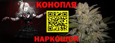 прущие грибы Ставрополь