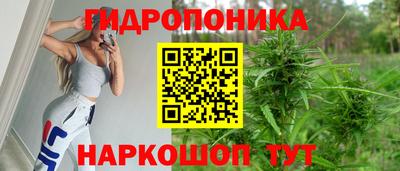 прущие грибы Ставрополь