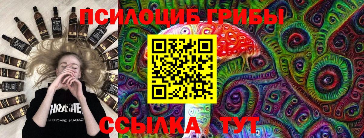 Галлюциногенные грибы Psilocybine cubensis  Вход с VPN  Рославль  Псилоцибиновые грибы Psilocybe 