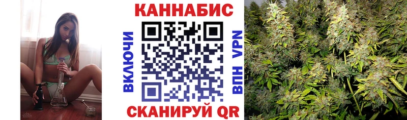 площадка состав  Рославль  Каннабис VHQ 